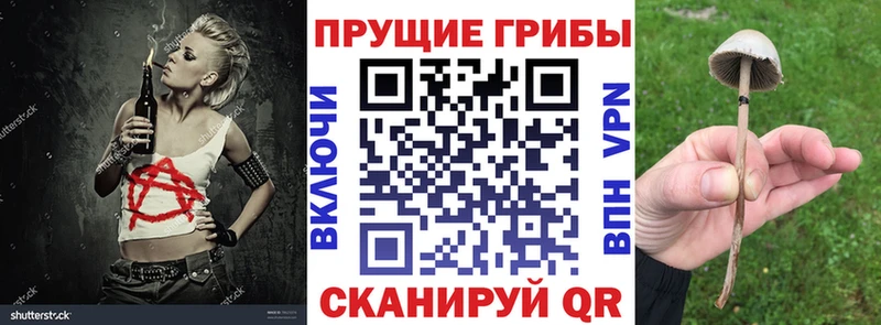 Псилоцибиновые грибы ЛСД  как найти закладки  Ковылкино 