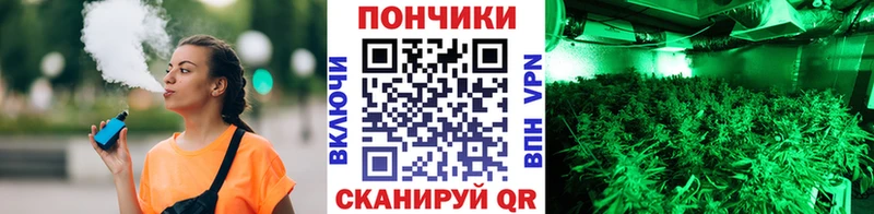 МАРИХУАНА план  Ковылкино 